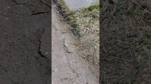 еду в город