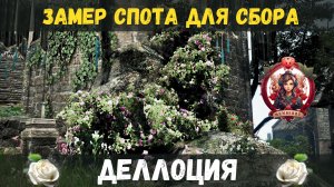 [BDO]🌱ДЕЛЛОЦИЯ / СКОЛЬКО В ЧАС МОЖНО ЗАРАБОТАТЬ В ОДИРАКСИИ 2026 #delotia #gathering