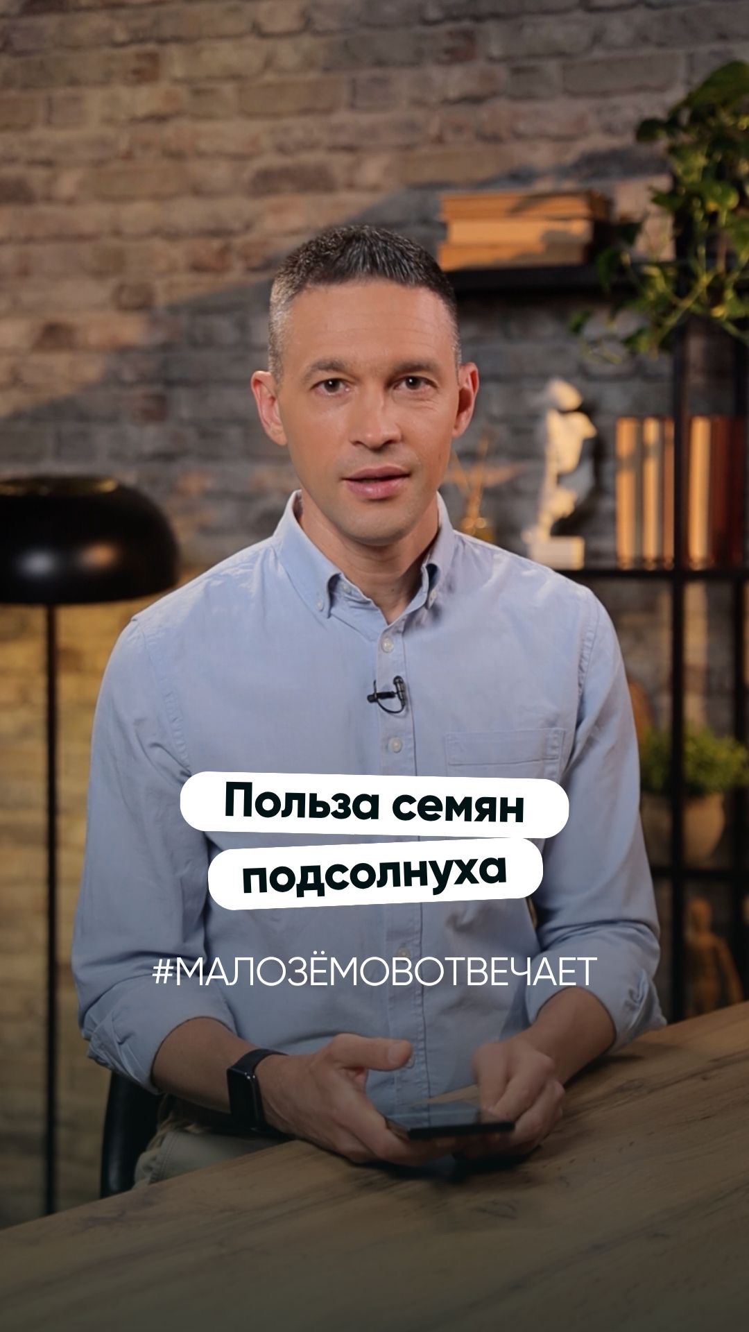 Польза семян подсолнуха