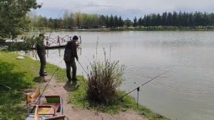 поимка карпа на большом водоёме