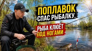 Хотел порыбачить на донку, но клёв был на поплавок.