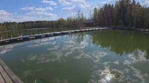 Форель майская после длительного перерыва