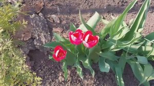 ВЛОГ:неПростой день! Частичка природы.