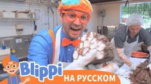 Блиппи на шоколадной фабрике | Блиппи на Русском | Изучай этот Мир вместе с Блиппи | Blippi
