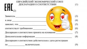 Как заполнить декларацию о соответствии пошагово