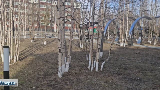 Прогулка до Вечного огня. 8 мая Реальная ЖизньСеверян за полярным кругом Ямало-Ненецкий АО