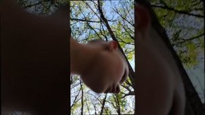 Что опять случилось???