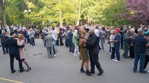 Хмельная сирень...... 09.05.26 Гомель парк Луначарского 🥰💫