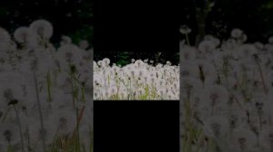 16546798526258