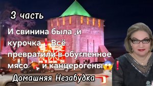 3 часть. И свинина была ,и курочка❗️Всё превратили в канцерогены и обугленное мясо 🍖 😱❗️