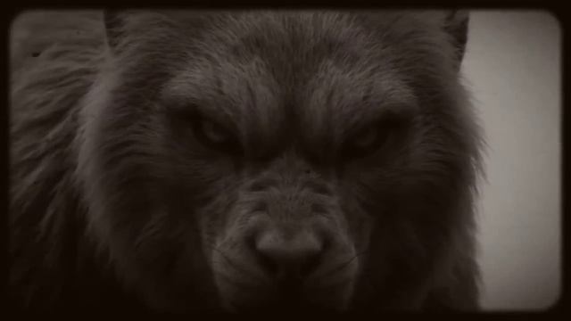ТАЙГА.  СТРАШНЫЕ ЭКСПЕРИМЕНТЫ СССР В ГЛУБИНАХ ТАЙГИ Сборник.