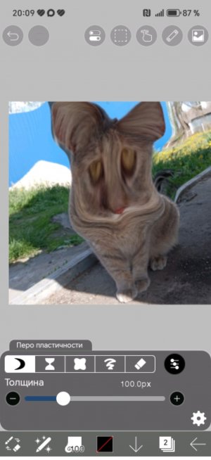 фортик
