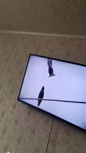 Реакция на короче говоря 100 дней в бункере