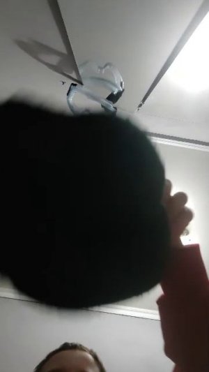 Gfy