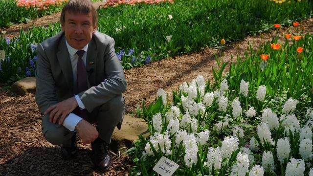 Год с аптекарским огородом. 1. Начало мая.