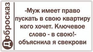 -Муж имеет право пускать в свою квартиру кого хочет. Ключевое слово - в свою!- объяснила я свекрови