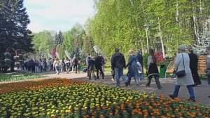 9 МАЯ. НОВОКУЗНЕЦК.ПО БУЛЬВАРУ ГЕРОЕВ ОТ УЛИЦЫ КИРОВА ДО ВЕЧНОГО ОГНЯ ПОСЛЕ ПАРАДА