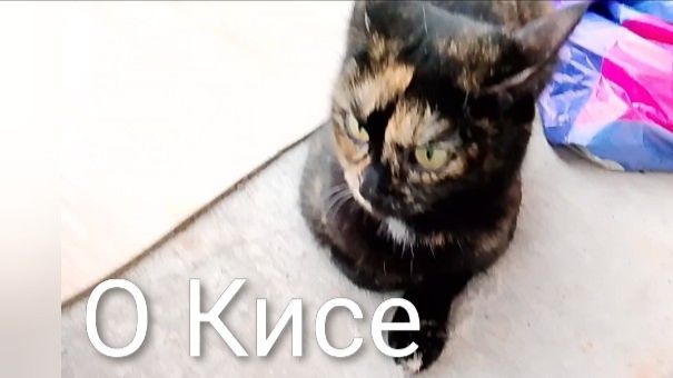 О Кисе