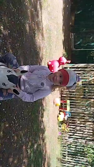 Обзор около дома