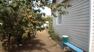 Сбор посылок из косточек - комментарии В.Железова. Серия 2.