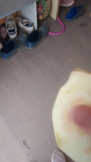 ром