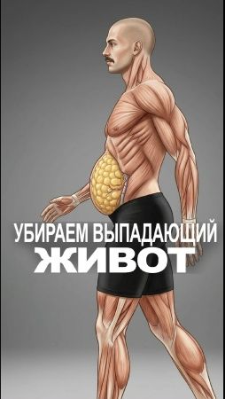 Мне не нравится выступающий живот, но я не готов тратить часы в зале.