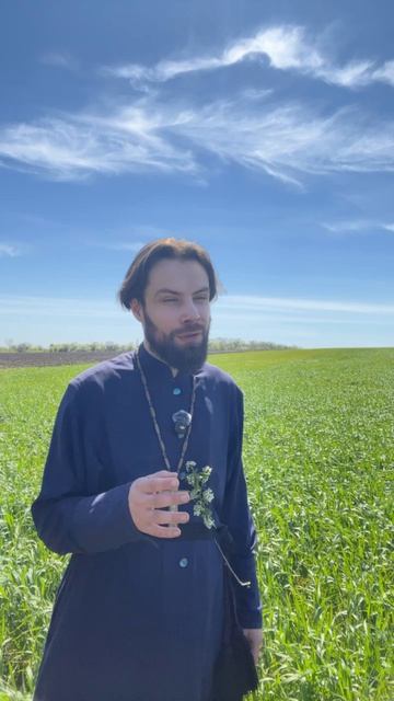 ☦ Почему у нас НЕ бывает «праведного» гнева❓🙏 смотреть онлайн
