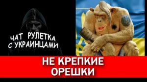 ВСУ(шники) Z Волыни. Чат рулетка с украинцами.