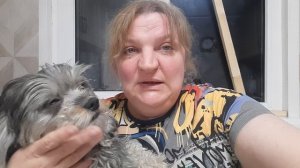 рубрика « домашние животные»🐕🐕🐕