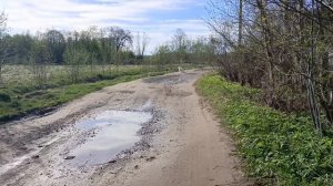 9.05.26. Жизнь на даче. Утренняя прогулка. День Победы!