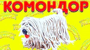 ЛЕПИМ СОБАКУ КОМОНДОР