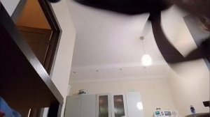 мультики про Крыс серия 13