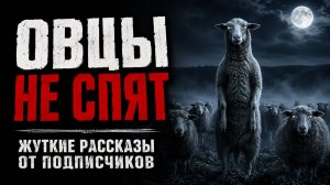 Они выглядят как МЫ, но ошибаются | Жуткие рассказы от подписчиков
