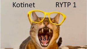 Kotinet RYTP 1
