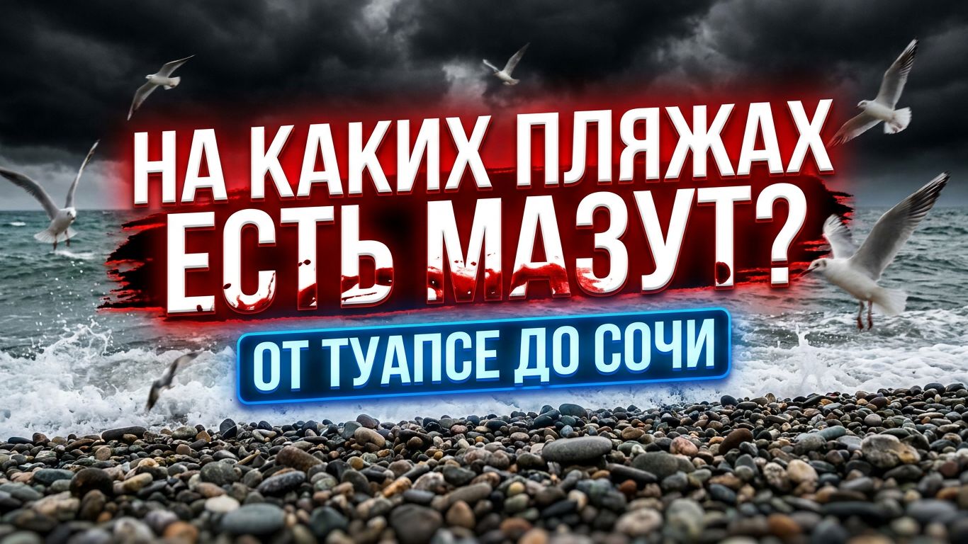 от ТУАПСЕ до СОЧИ НА КАКИХ ПЛЯЖАХ ЕСТЬ МАЗУТ? Агой Небуг Шепси Лазаревское #сочи #всеосочи #туапсе