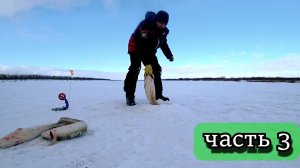 ОДИН НА ЛЬДУ. ВОТ ЭТО КЛЁВ ПО ПОСЛЕДНЕМУ ЛЬДУ!!!! ЧАСТЬ 3