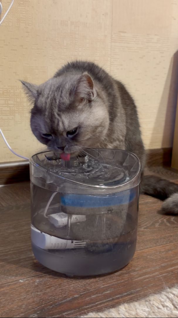 Когда реально сушняк 😹