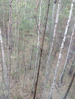 Я в домик приехала
