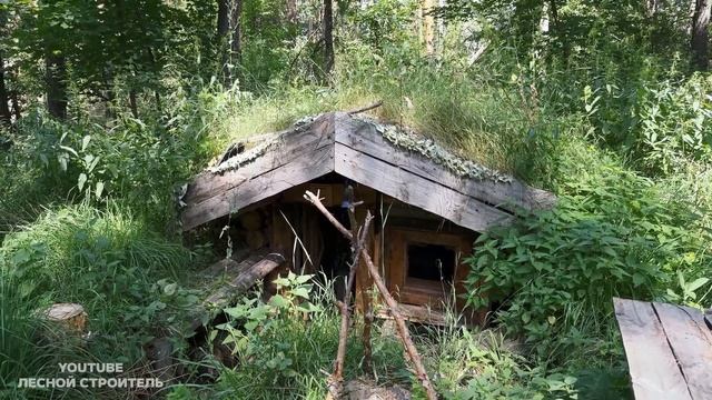 3 дня живу в лесу среди диких животных смотреть онлайн