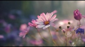 Как прекрасен этот мир 🥰❤️🌹🌹🌹💯👍