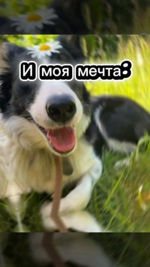И это рил(