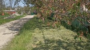 Цыплята//Заготавливаю сено//Козы//Вывели освещение на улицу.