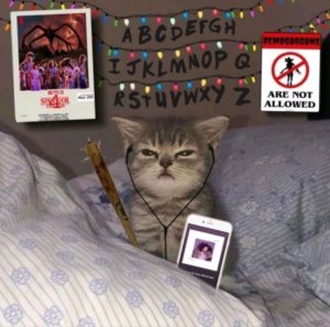 й