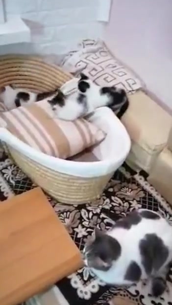 Лучшая на свете Мама! 😁😻 09-05-2026