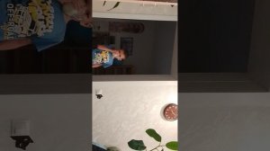 первая часть дома