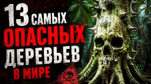 13 САМЫХ ОПАСНЫХ ДЕРЕВЬЕВ В МИРЕ — ОТ НИХ НЕ СПАСТИСЬ