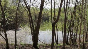 Апельсиновый пруд(поговорила с рыбаком)(Кемерово)