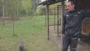 Жизнь вдали от города работы больше чем световой день Ремонт после бури Сруб заиграл красками