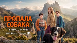 Пропала собака
