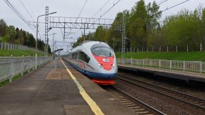 Поезд Сапсан проследует станцию Сенеж